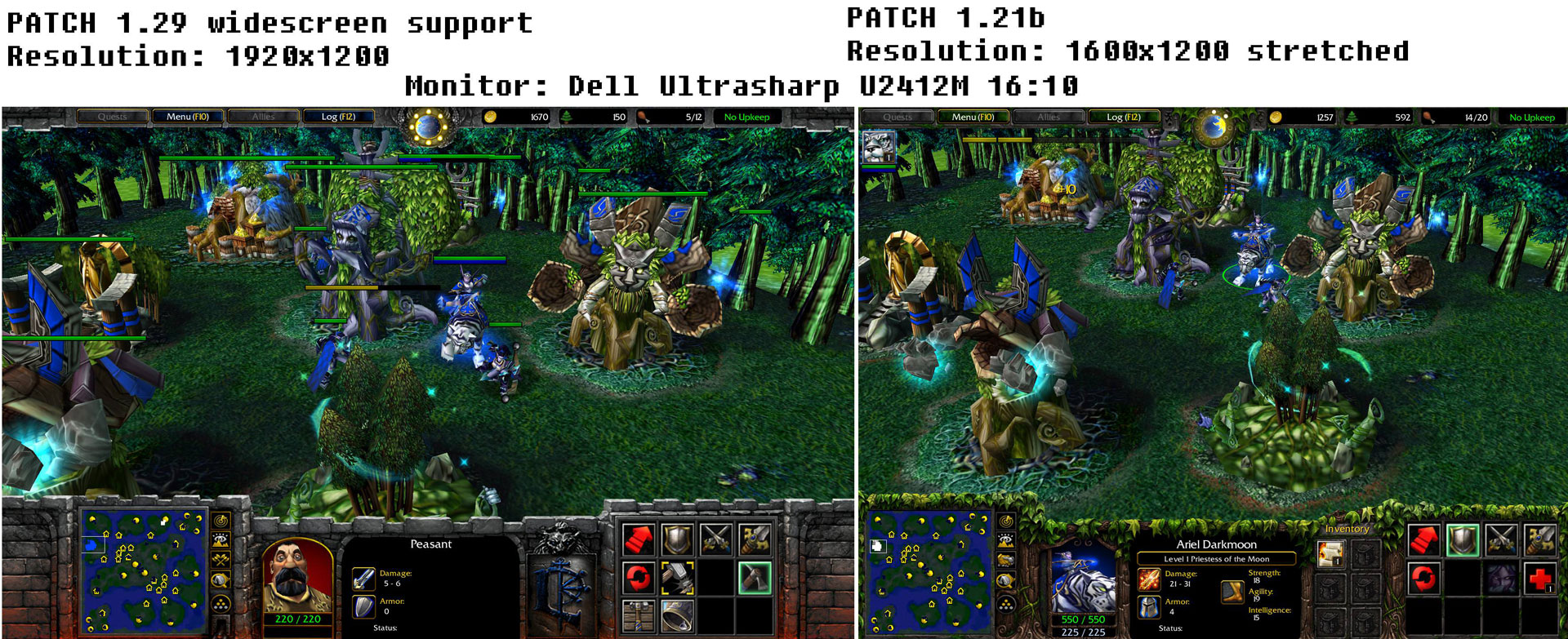 Download warcraft 3 for free